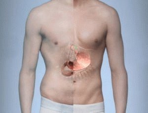 Влияние курения на желудок