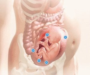 Микрофлора малыша в утробе