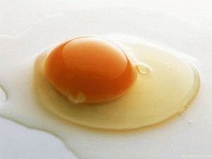 Сырое яйцо