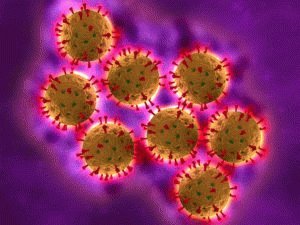 Ротавирус под микроскопом