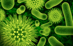 Патогенные микробы