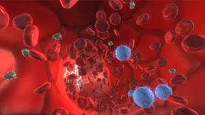 Клетки крови в кровяном русле